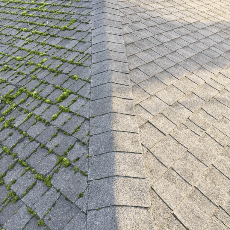 roof cleaning