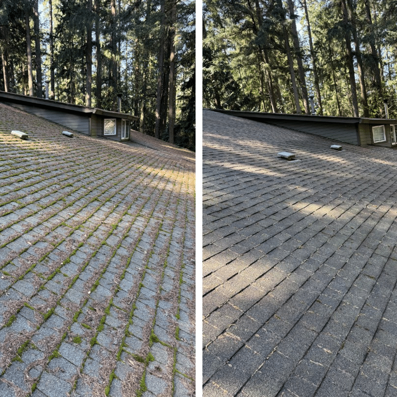 asphalt shingle roof cleaning